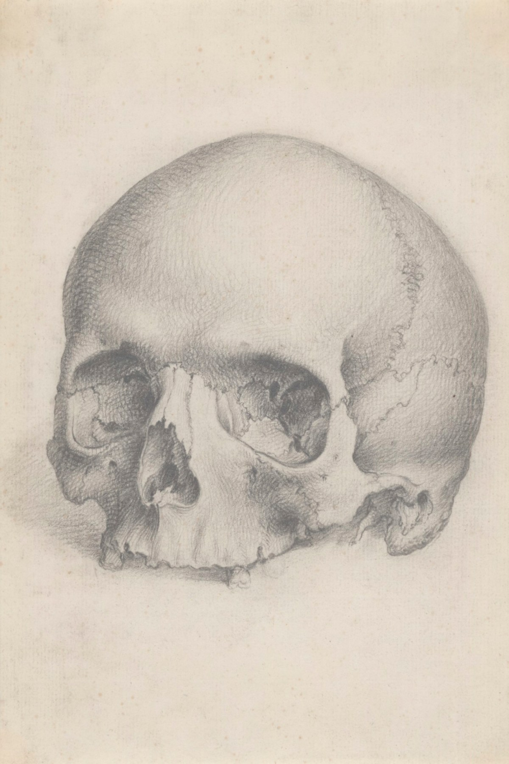 A human skull viewed from the front, for Cheselden