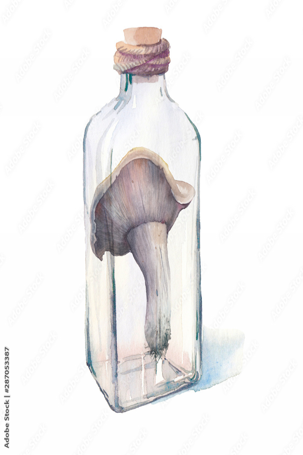 Alchemic illustration. Mushroom in glass bottle
