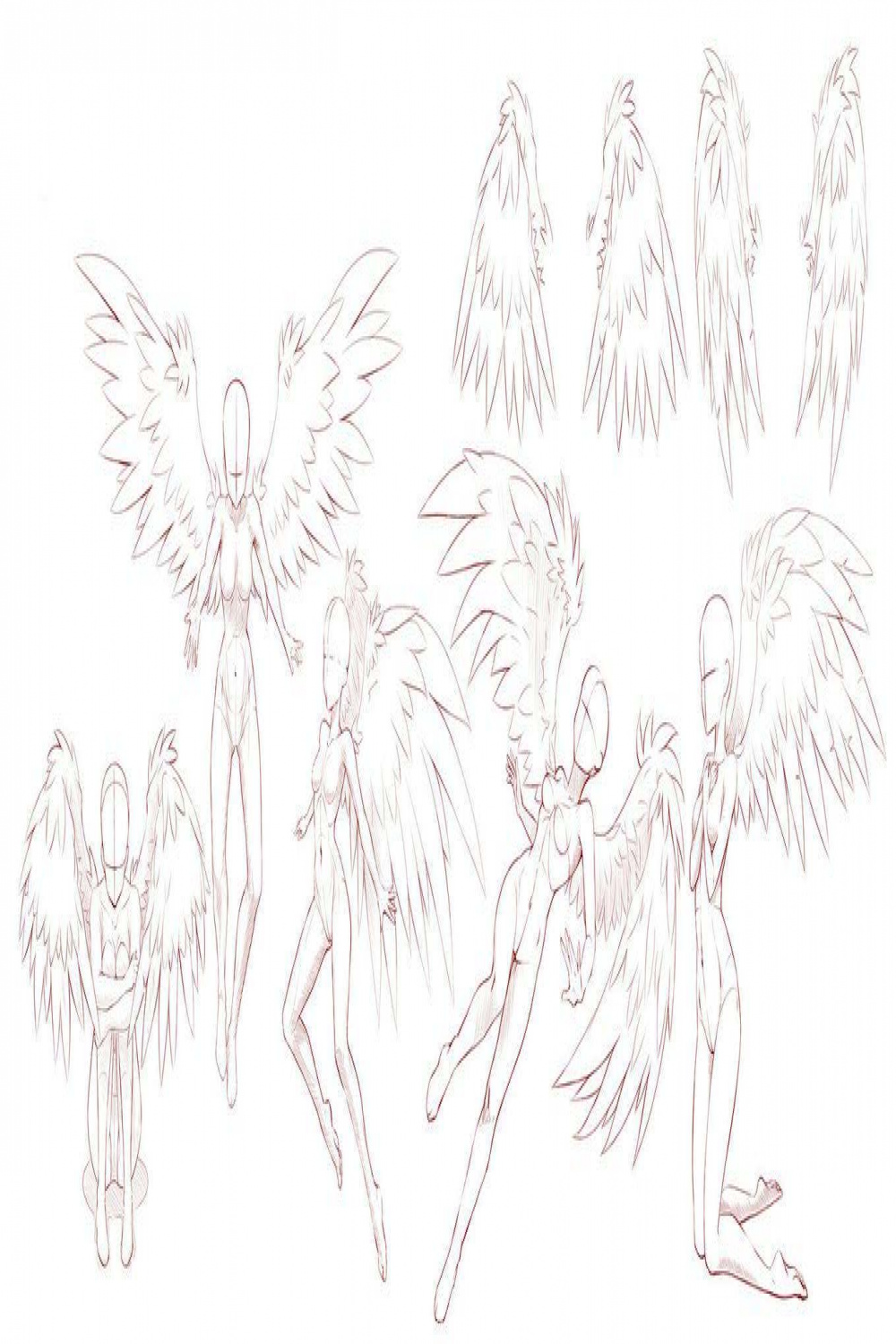 Angel Drawing Reference and Sketches for Artists