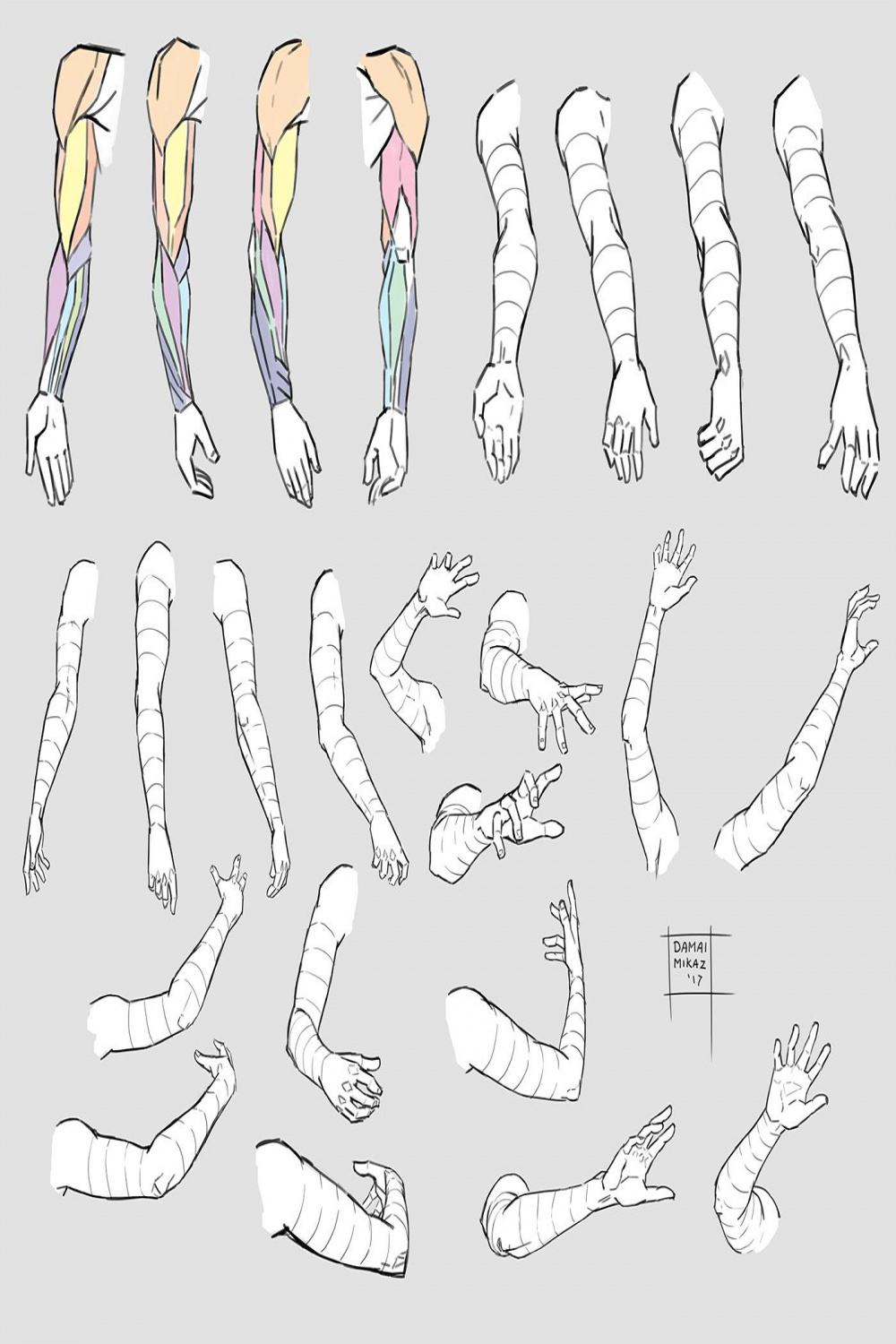Arm muscles and poses for reference drawing : r/thefuckingowl