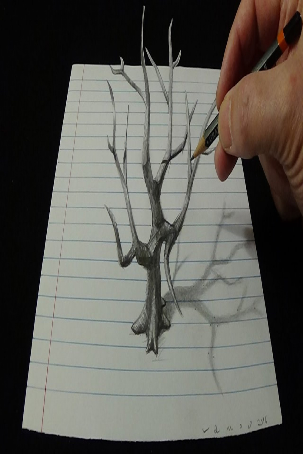 Art d Drawing - How To Draw An Old Tree In d With Pencil