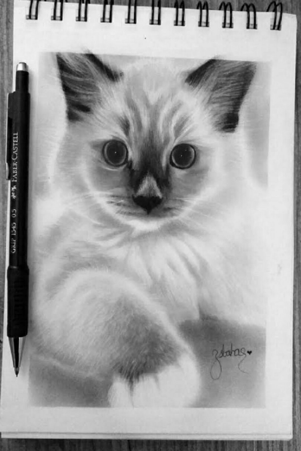 ArtStation - Cat drawing A sketchbook kitty
