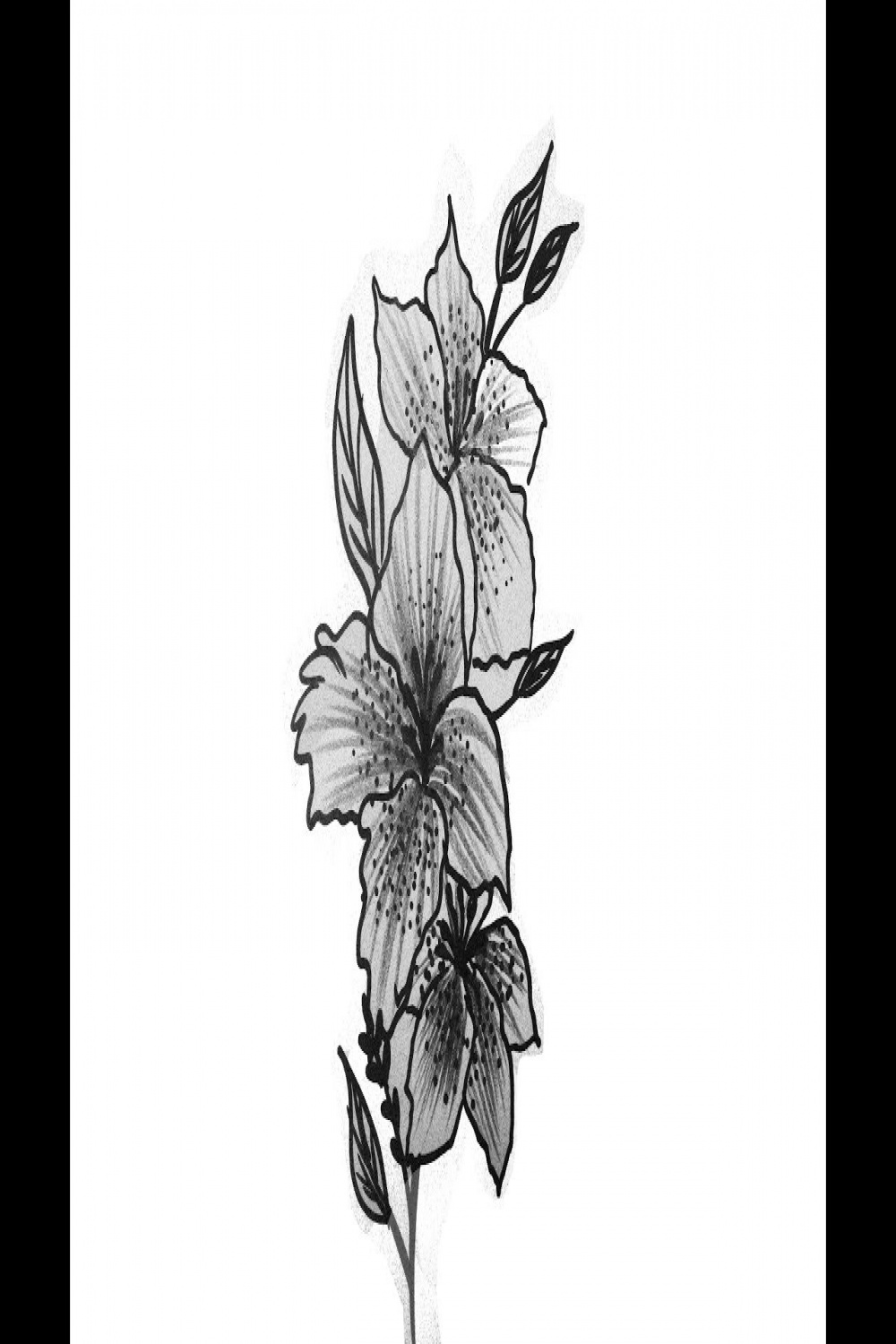 Beautiful illustrated flower drawing ideas  Easy Drawing  Cool Drawing