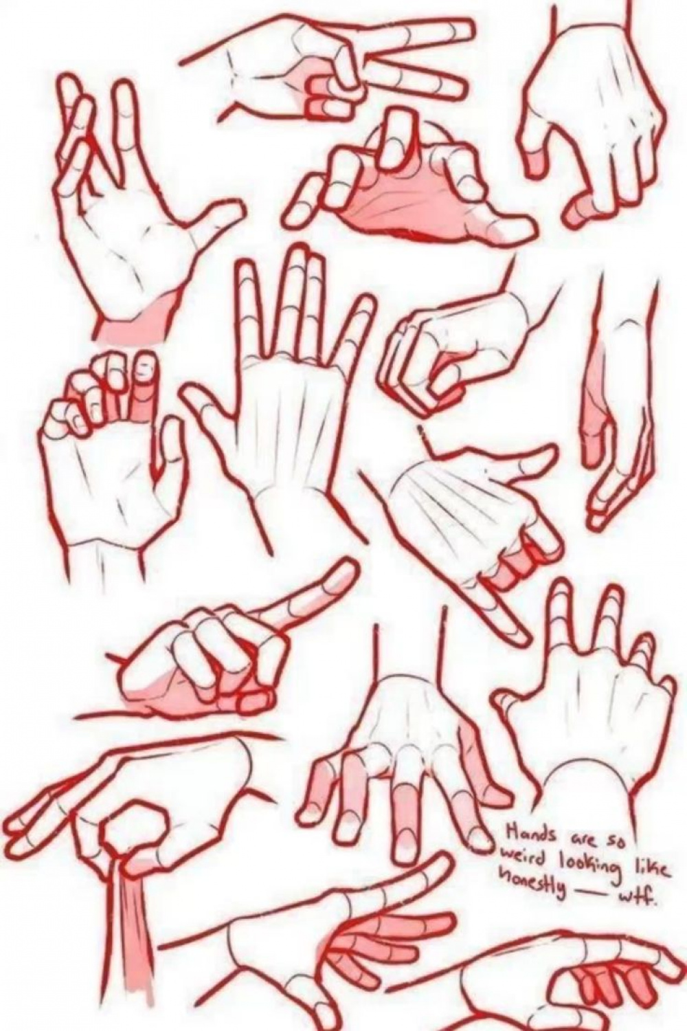 Best Hand Drawing Ideas to Learn from in   Drawings