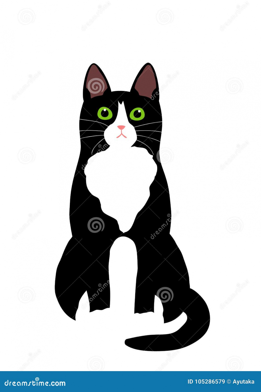 Black White Cat Stock Illustrations – , Black White Cat