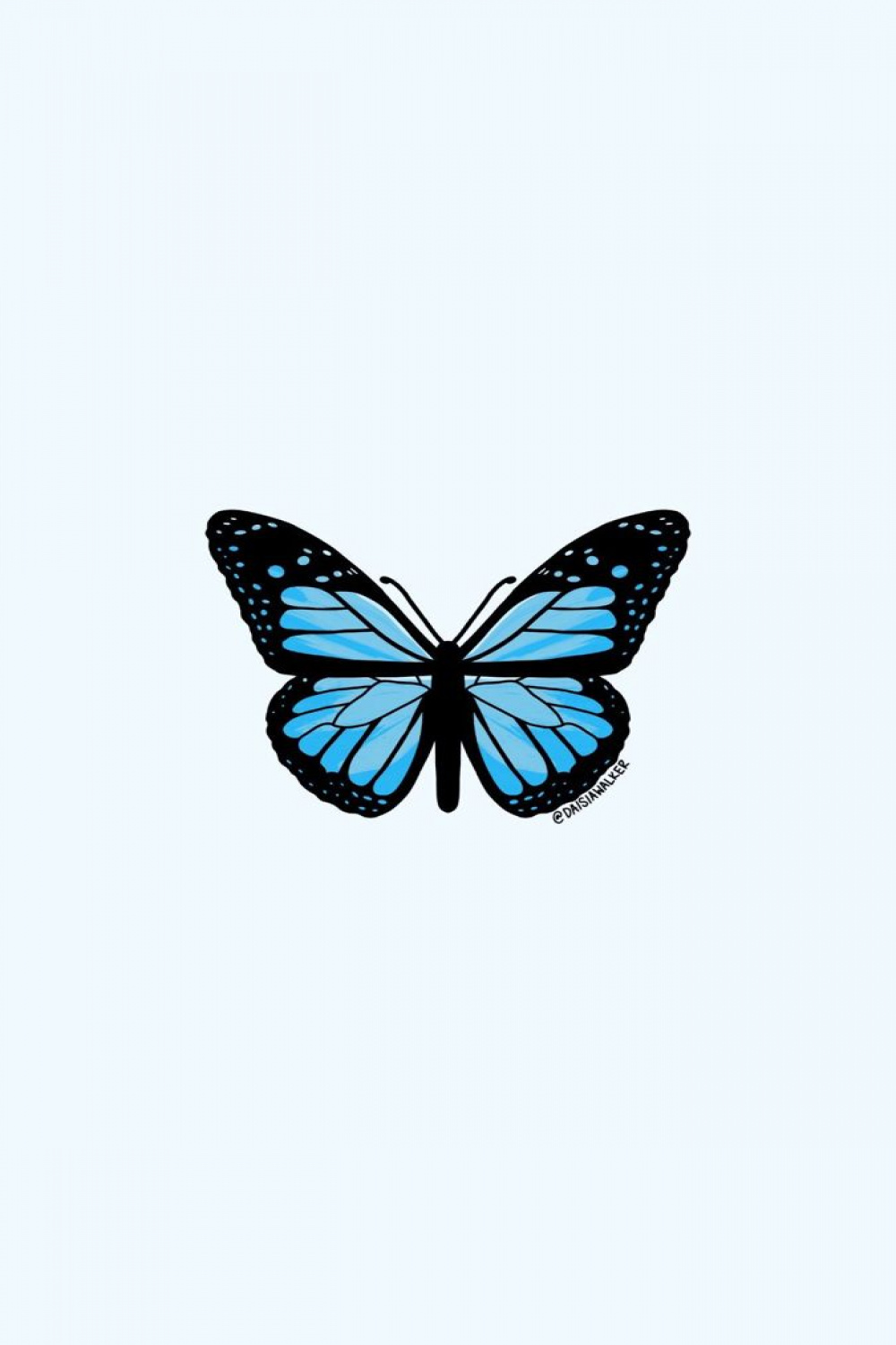 Blue Butterfly 🦋 Collection  Blue butterfly wallpaper, Butterfly