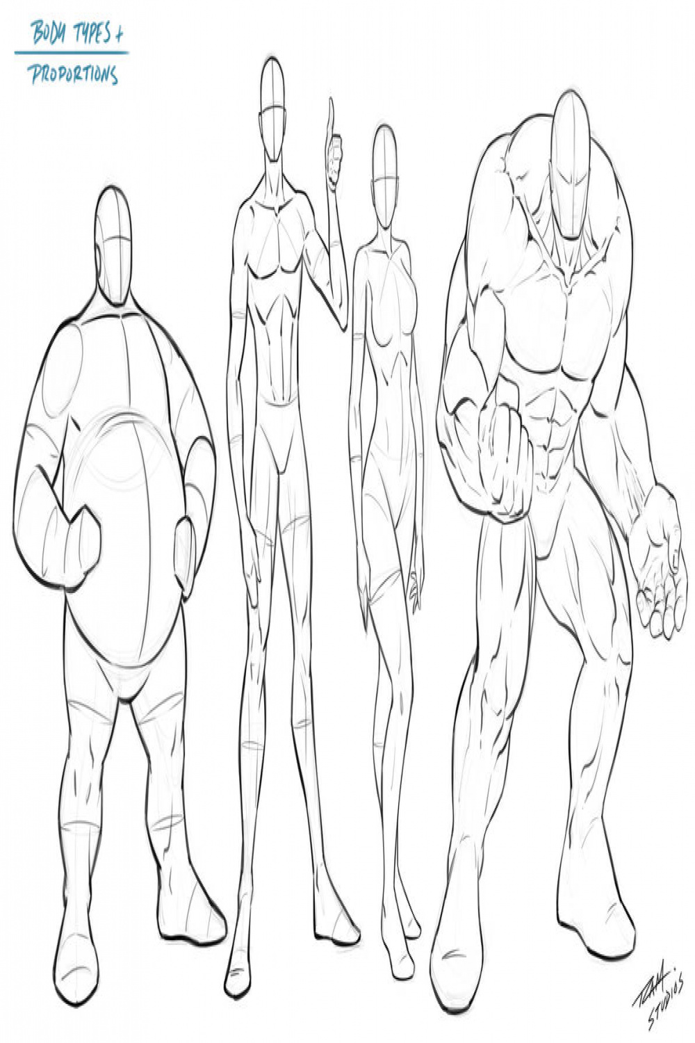 Body Types and Proportions - Reference by robertmarzullo on DeviantArt