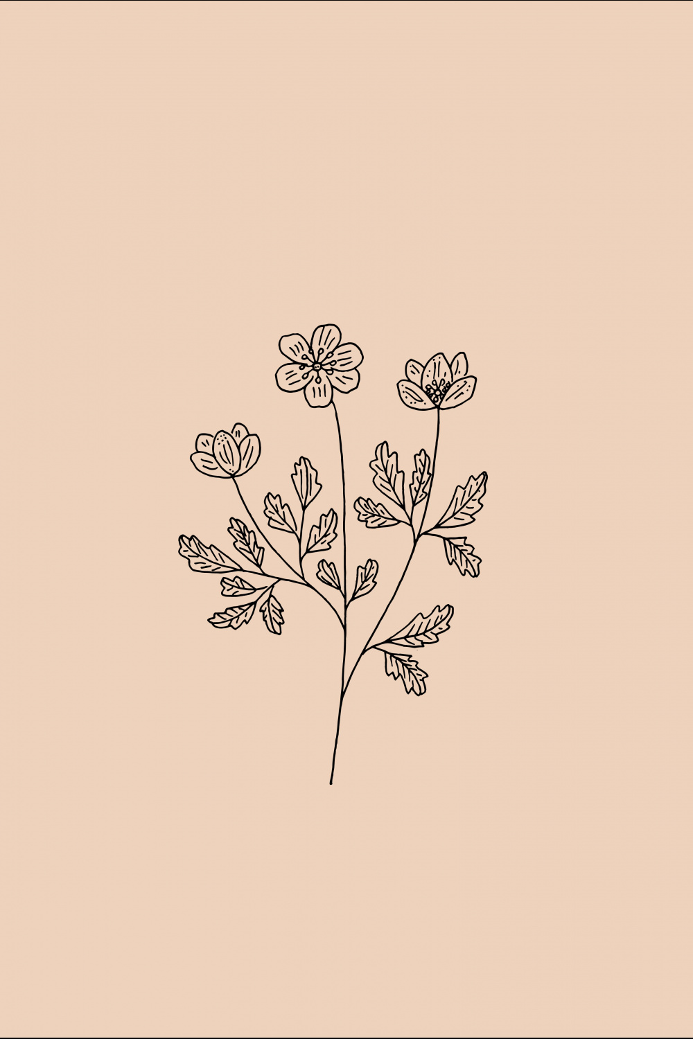 Botanical flower drawing by Ryn Frank  Flower drawing, Simple