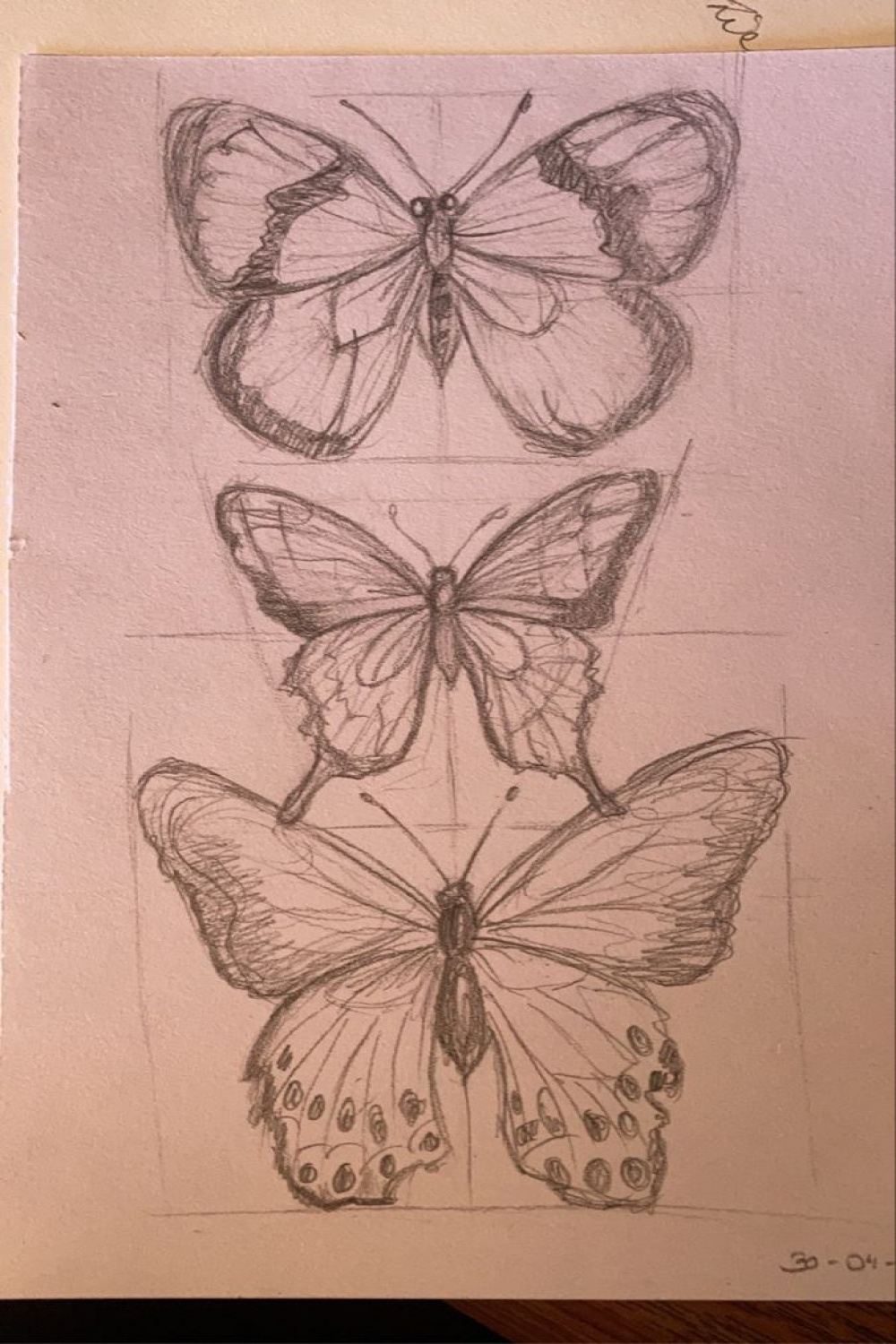 butterflies  Dibujos detallados, Mariposas dibujos a lapiz