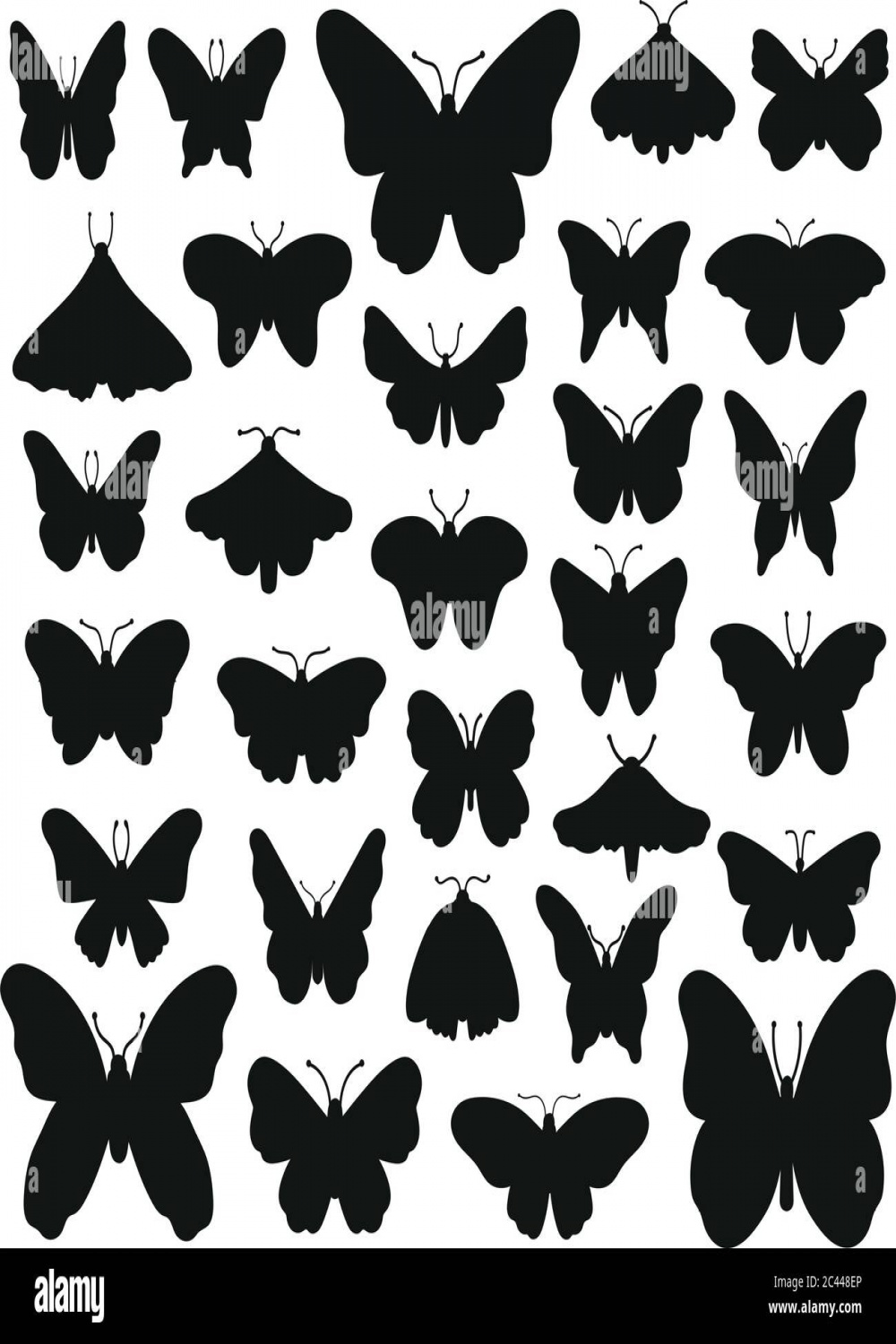 Butterfly Drawing Dark