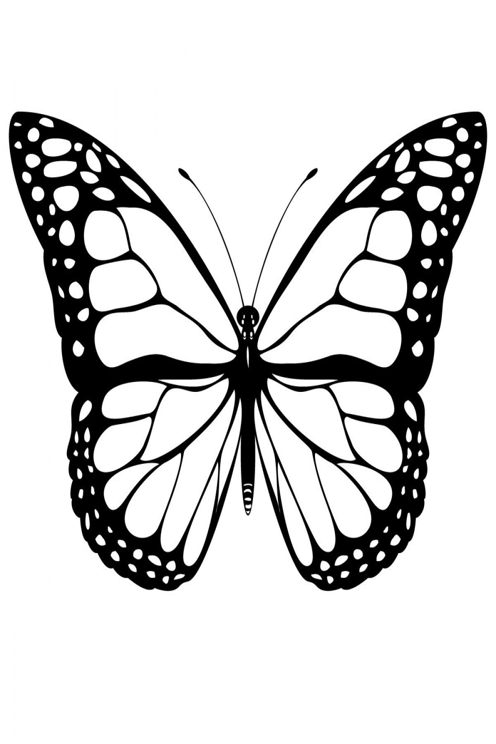 Butterfly Drawing Black And White Black And White Butterfly Tattoo