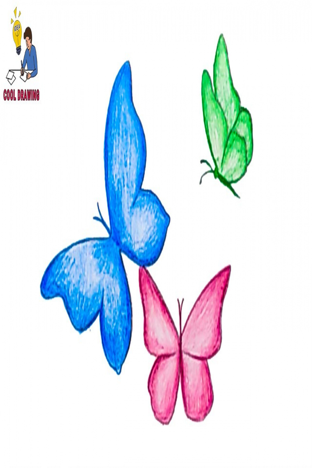 Butterfly drawing Tutorial  Butterflies Drawing step by step  How to draw  butterfly