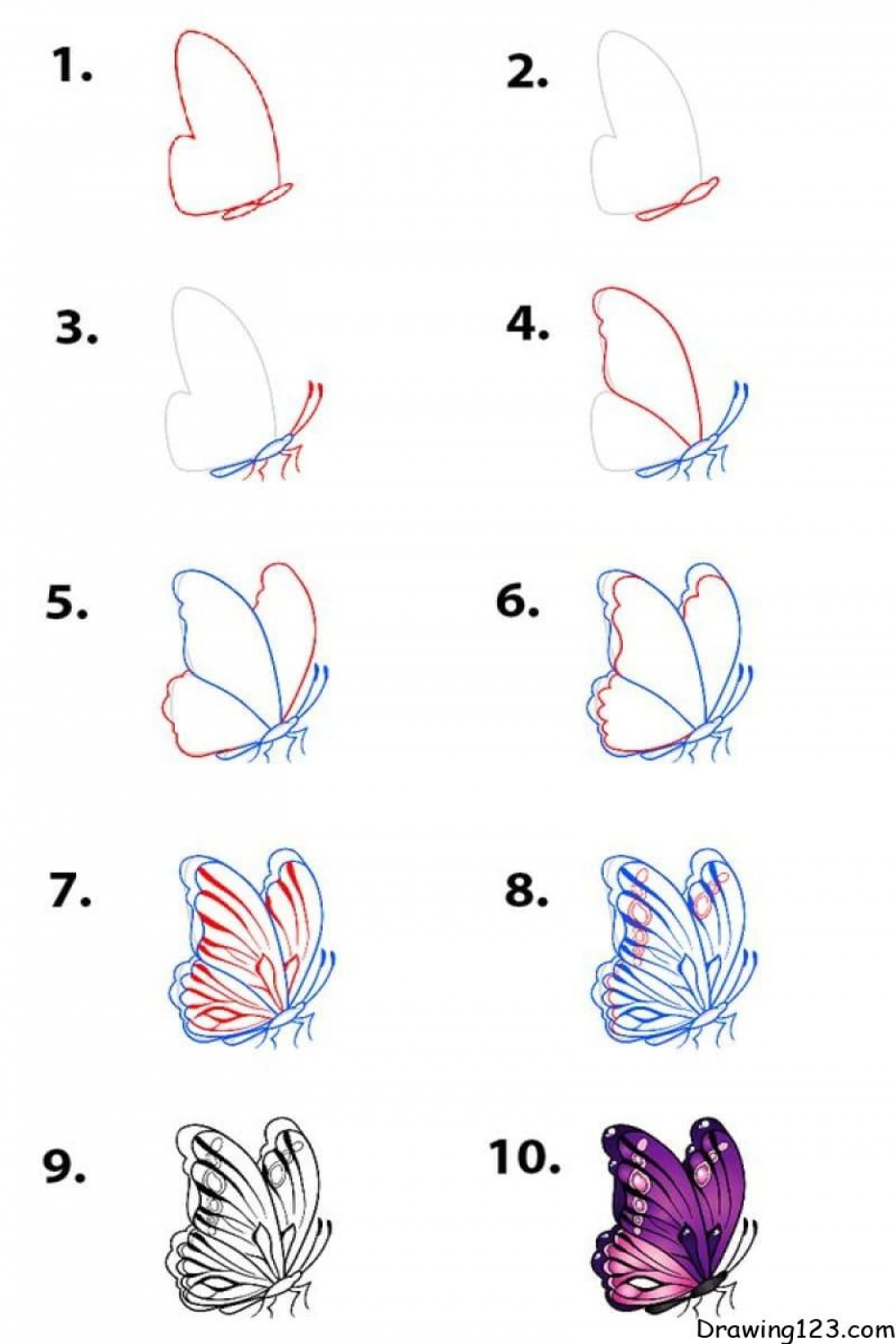 Butterfly Drawing Tutorial - How to draw a Butterfly step by step