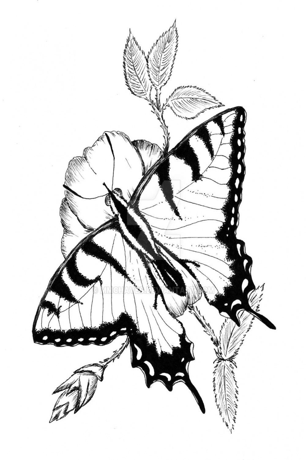 Butterfly Drawing Landing