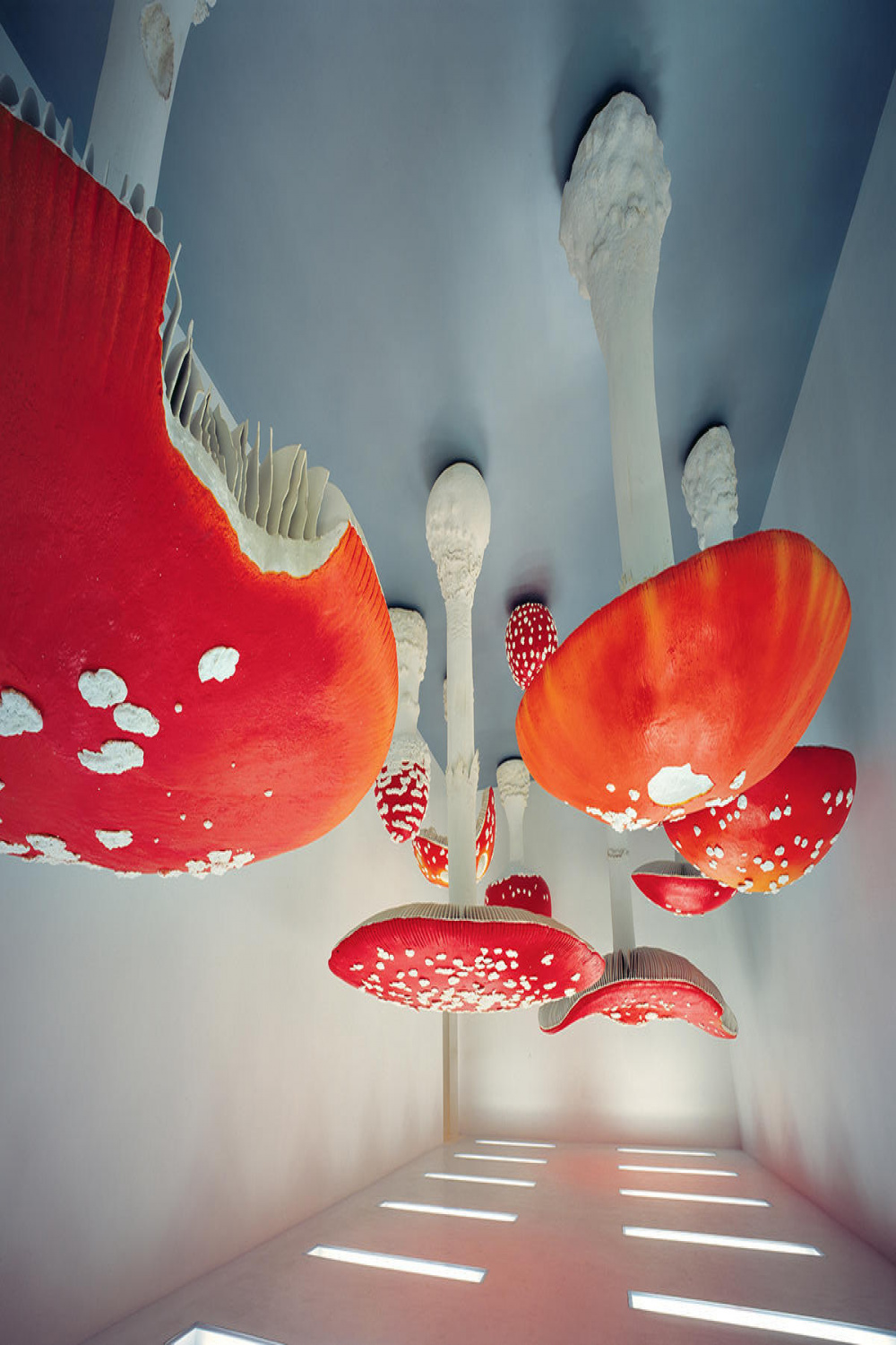 Carsten Höller: Upside-Down Mushroom Room” opens