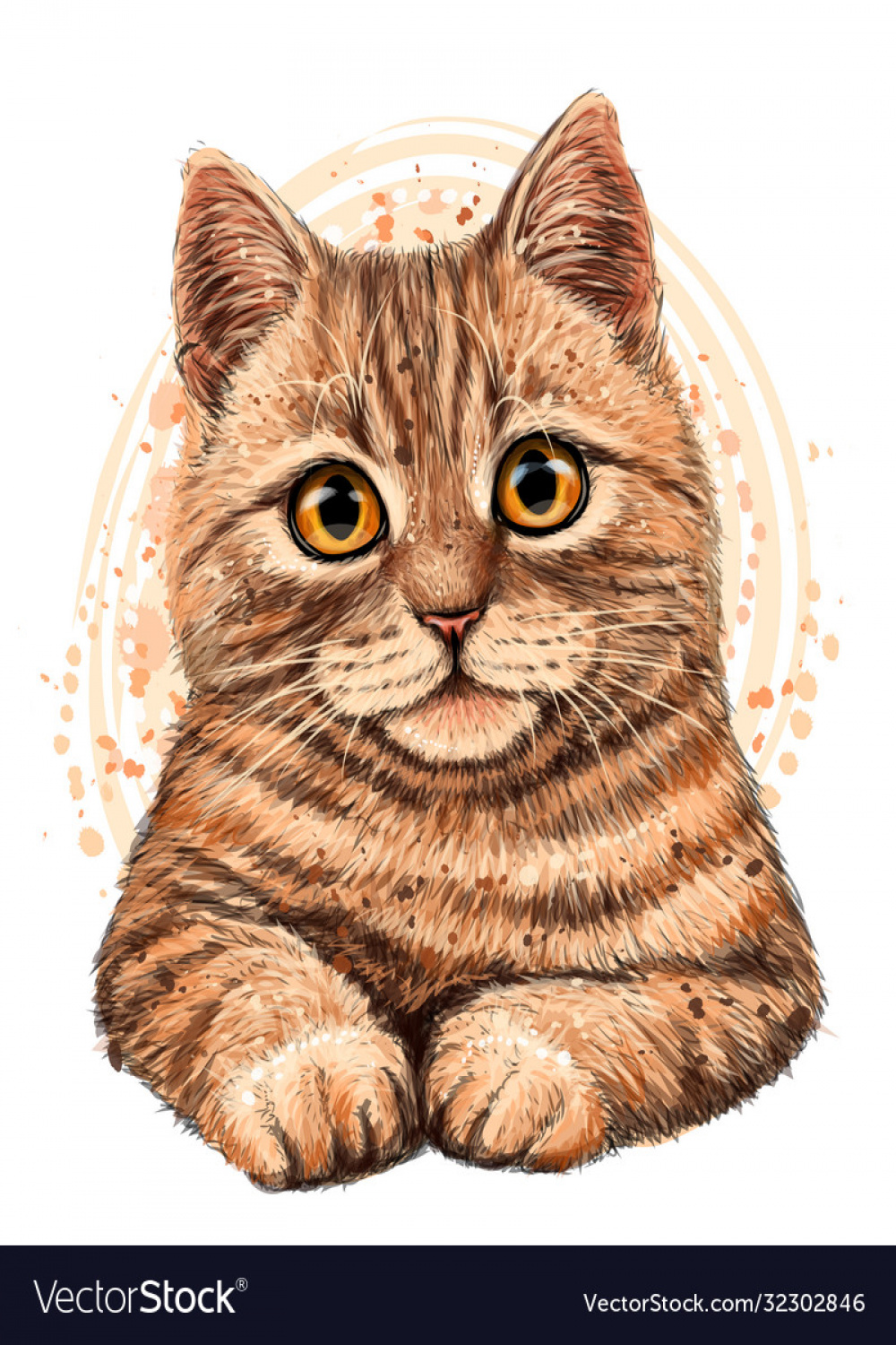 Cat color graphic artistic drawing Royalty Free Vector Image