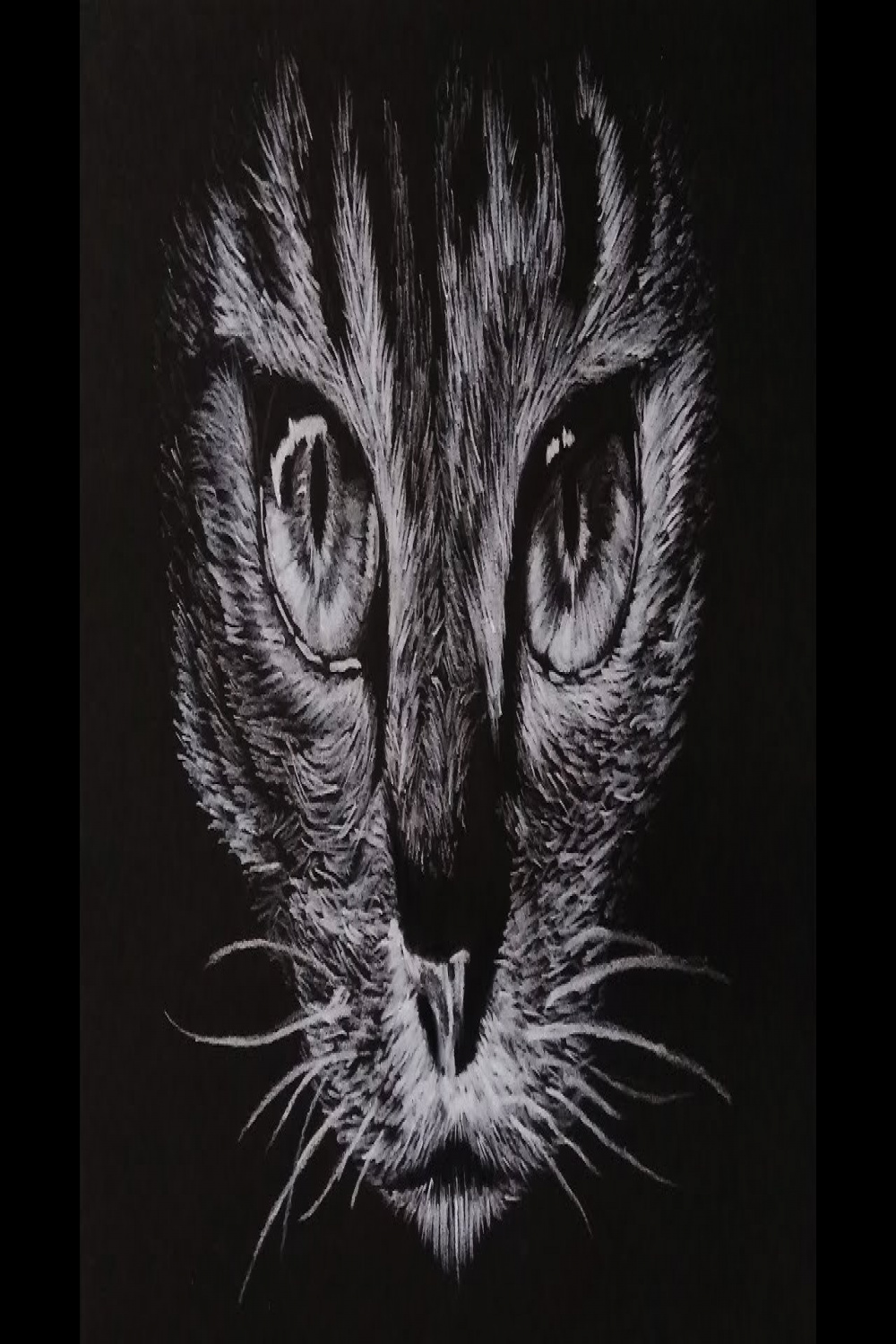 Cat on Black Paper  Satisfying Drawing Video  Time Lapse