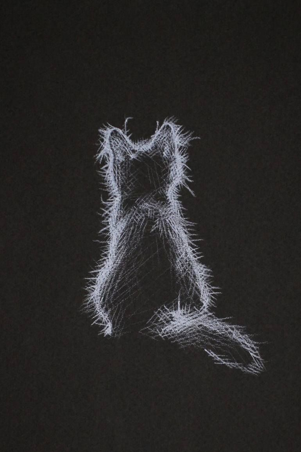 Cat Portrait # Drawing  Black paper drawing, Black canvas art
