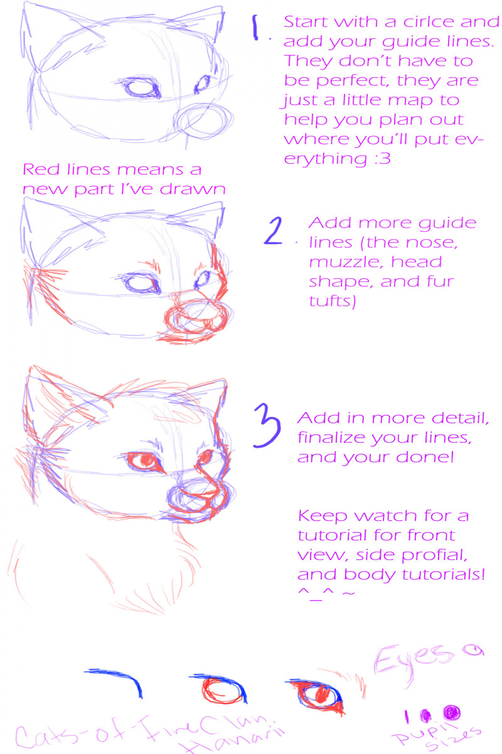 Cat Tutorial: Quarter View by Cats-of-FireClan on DeviantArt