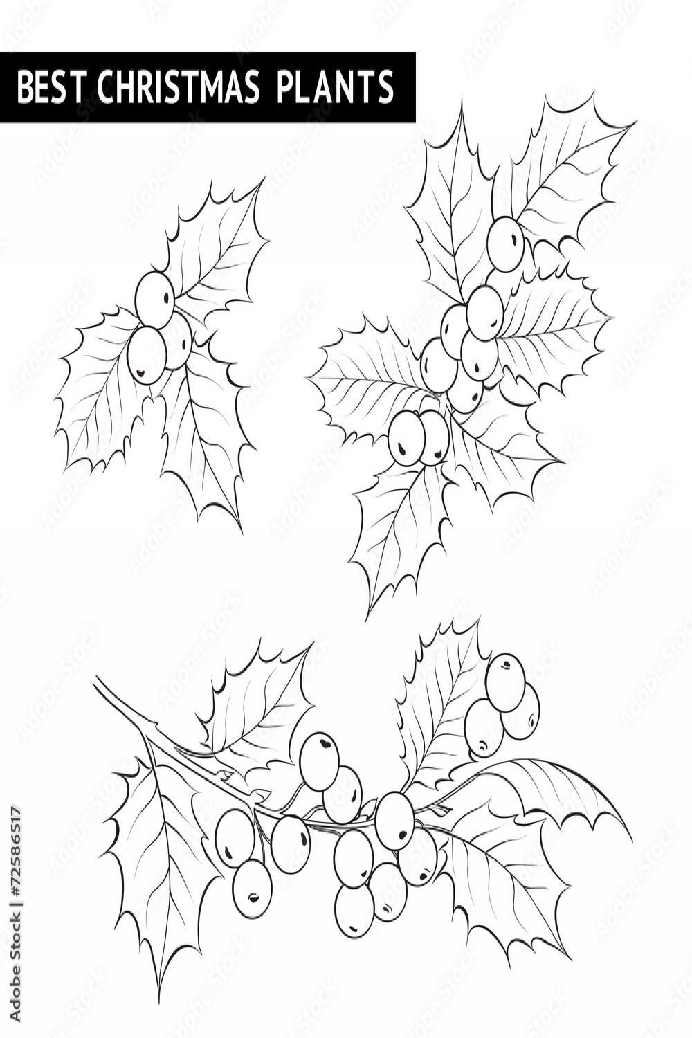 Christmas mistletoe branch drawing