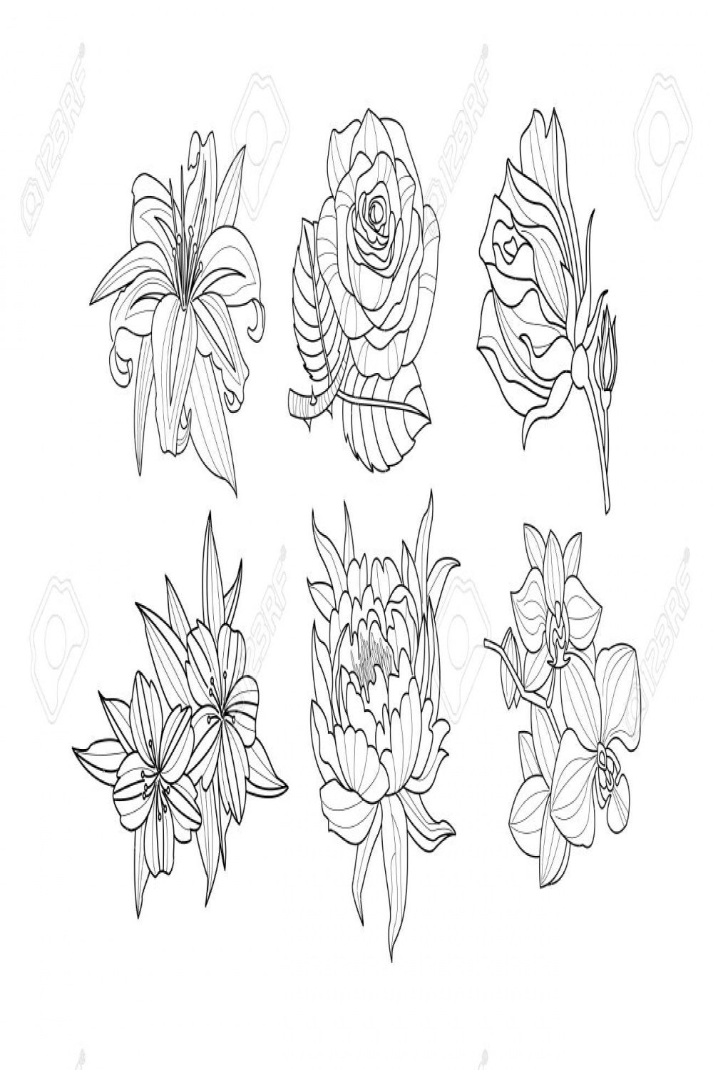 Collection Of  Hand Drawn Flowers