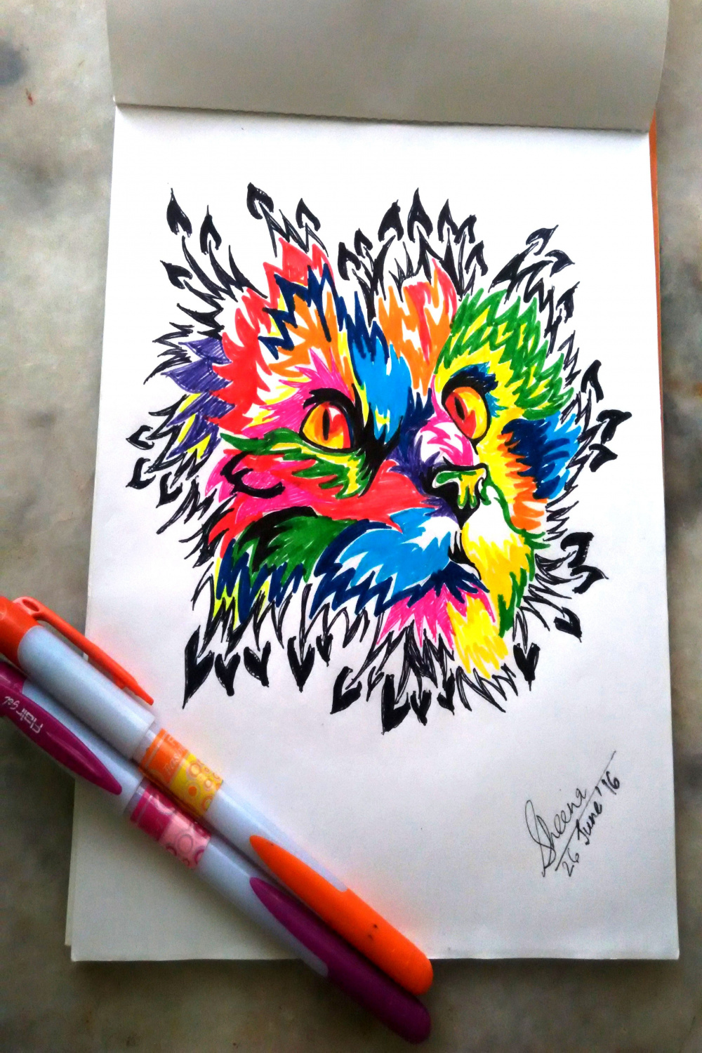 Colorful drawing of a cat made by sketch pens, black bold marker