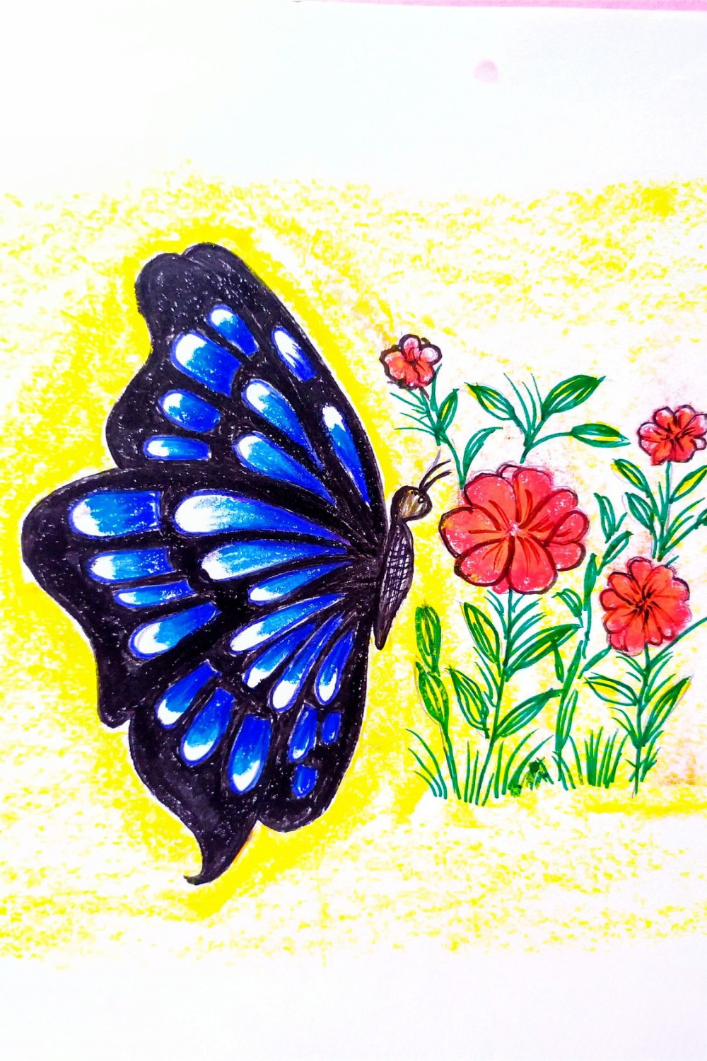 Colourful Butterfly Drawing with Pastel colours  Butterfly