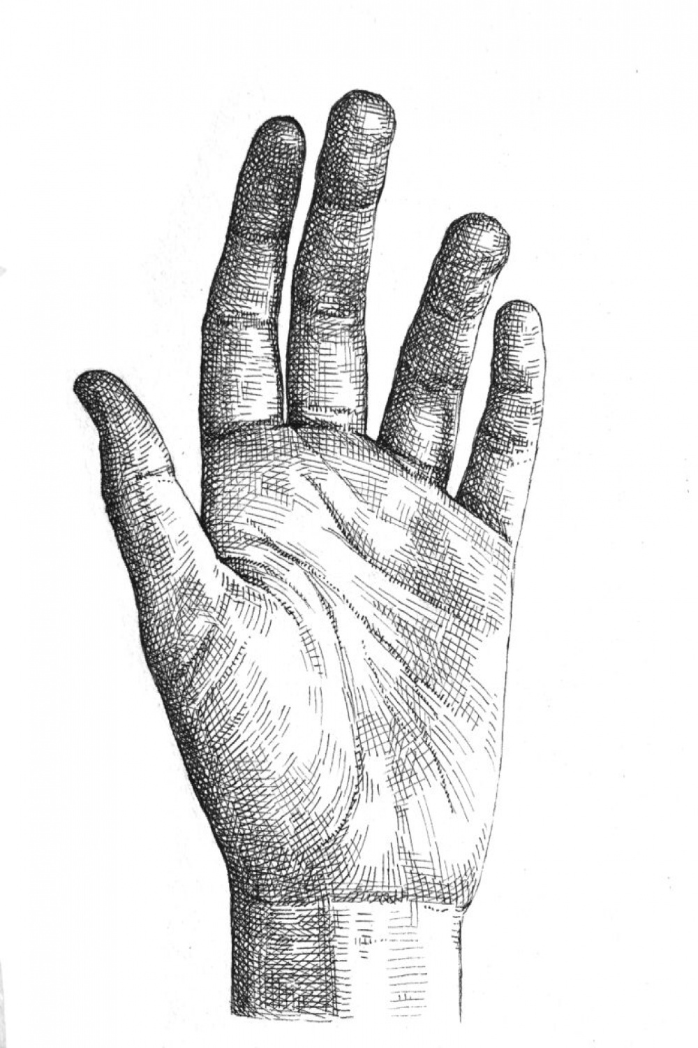 Crosshatching: How to draw a hand - Artists & Illustrators