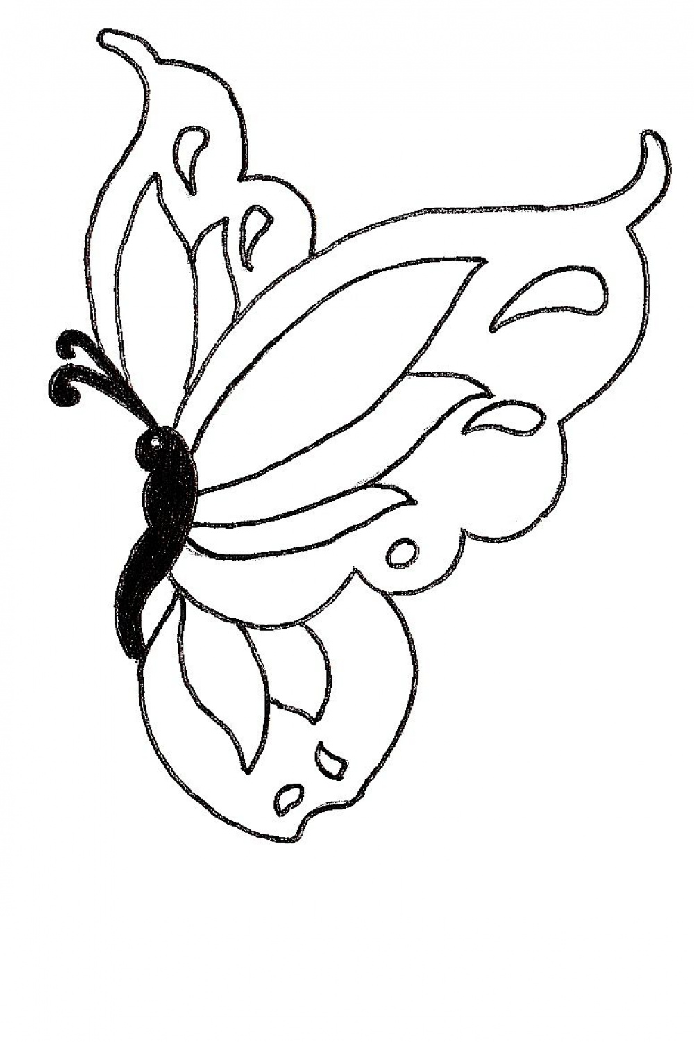 Cute butterfly drawing  Butterfly drawing, Cute butterfly, Drawings