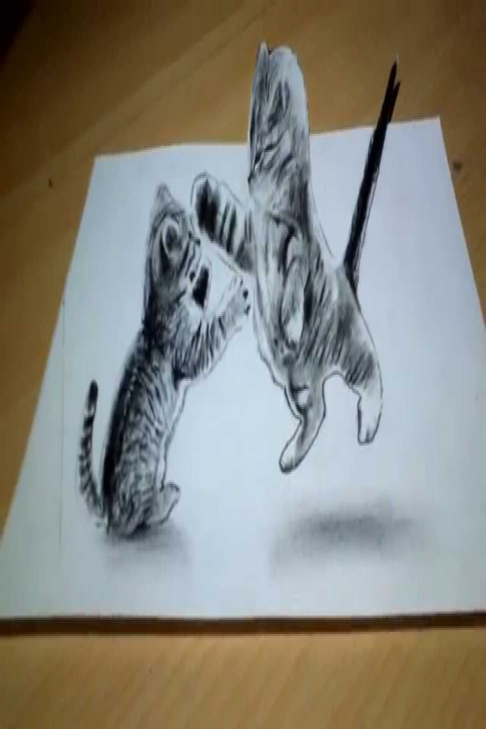 Cute Cat Drawing D Anamorphic illusion