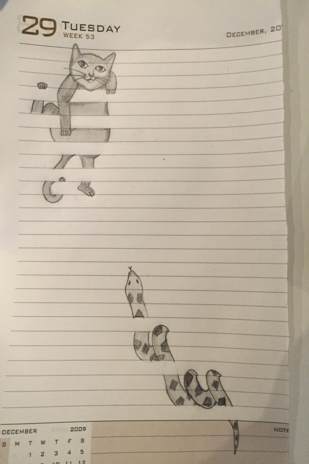 d cat & snake  Drawings on lined paper, Easy drawings, d drawings