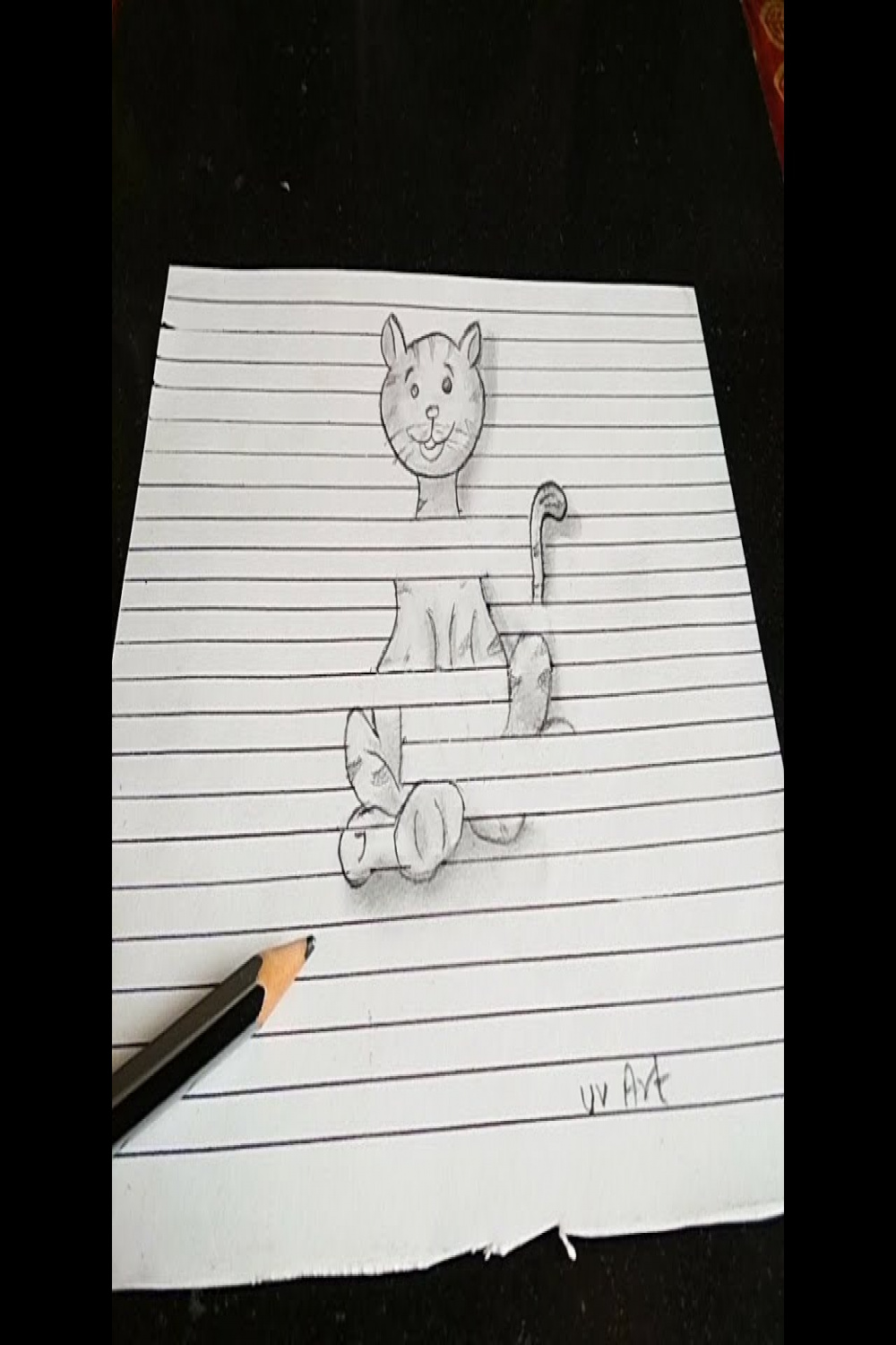 D Cat 🐈 Drawing on Lined paper or fake Lined paper Optical Illusion-D  Art Tricks