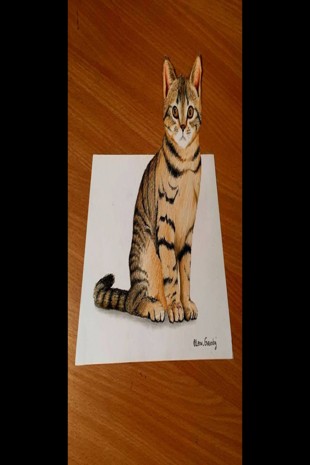 D cat drawing - YouTube  d drawings, Cat drawing, Art drawings