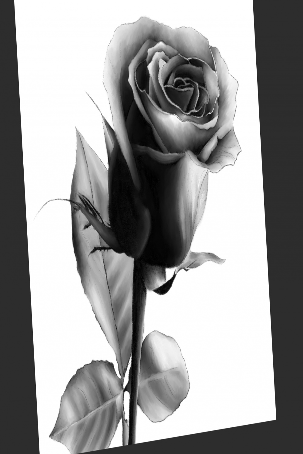 Digital dark rose drawing by Kerinaw on DeviantArt