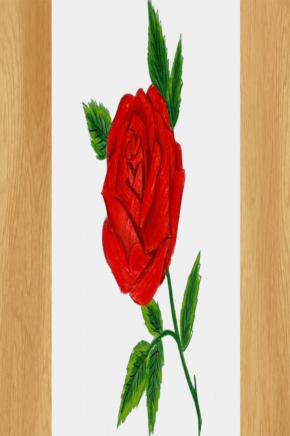 Draw a Rose I Rose Drawing Tutorial with Colored Pencils