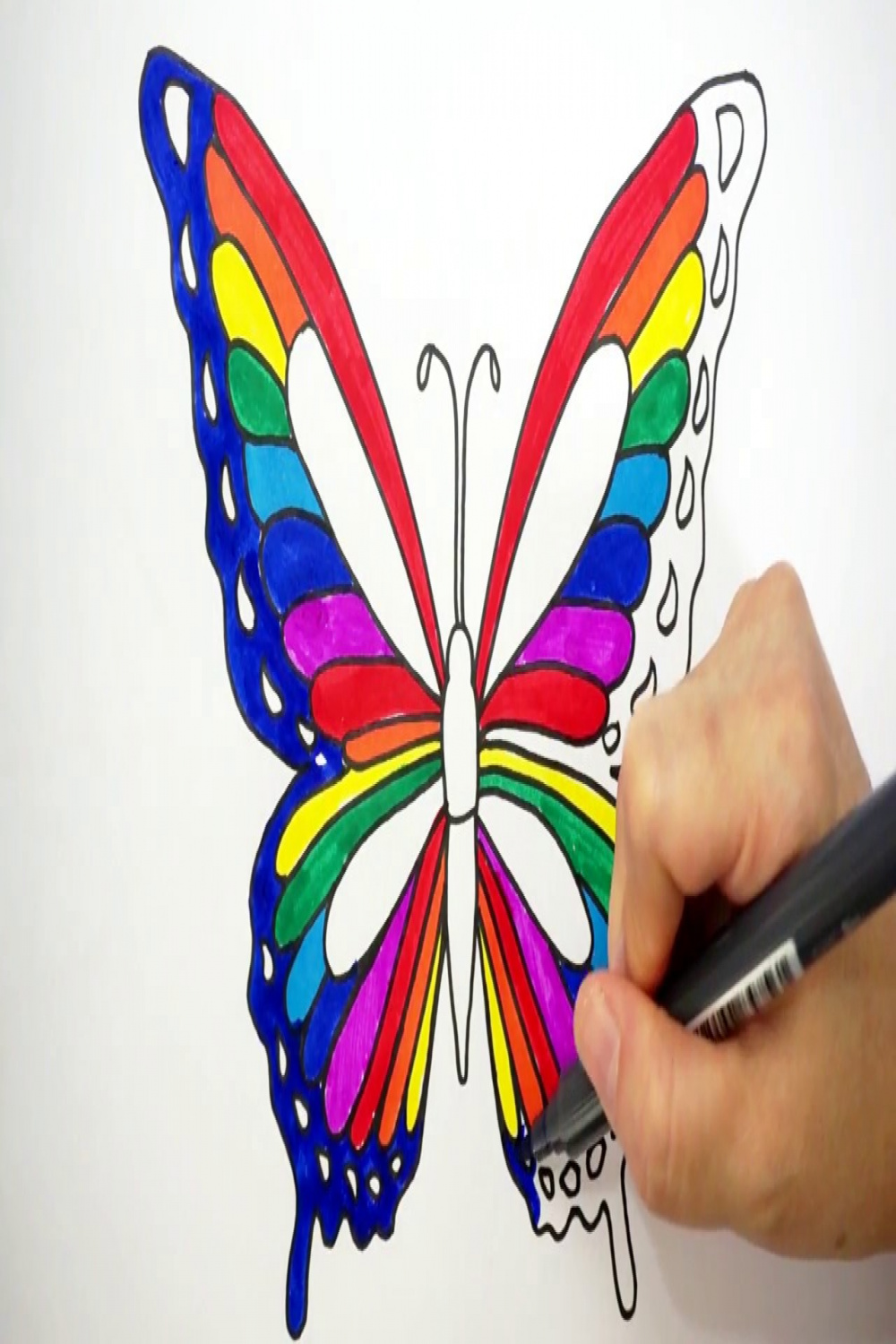 Draw Butterfly in Rainbow Art Colors for Kids  Coloring Pages for Children