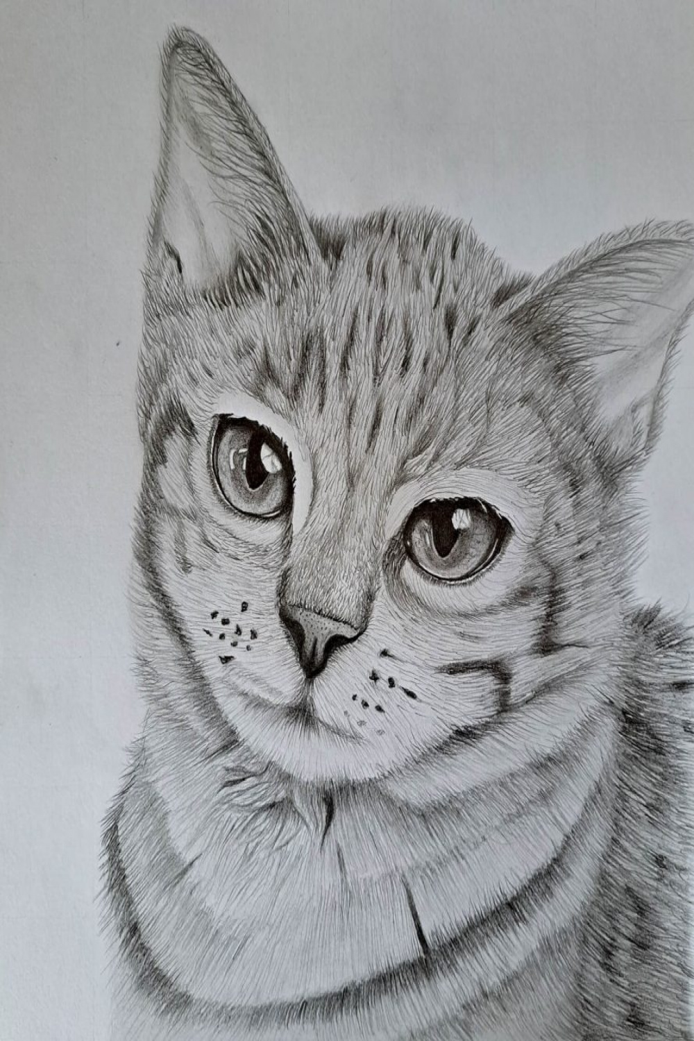Drawing a Cat