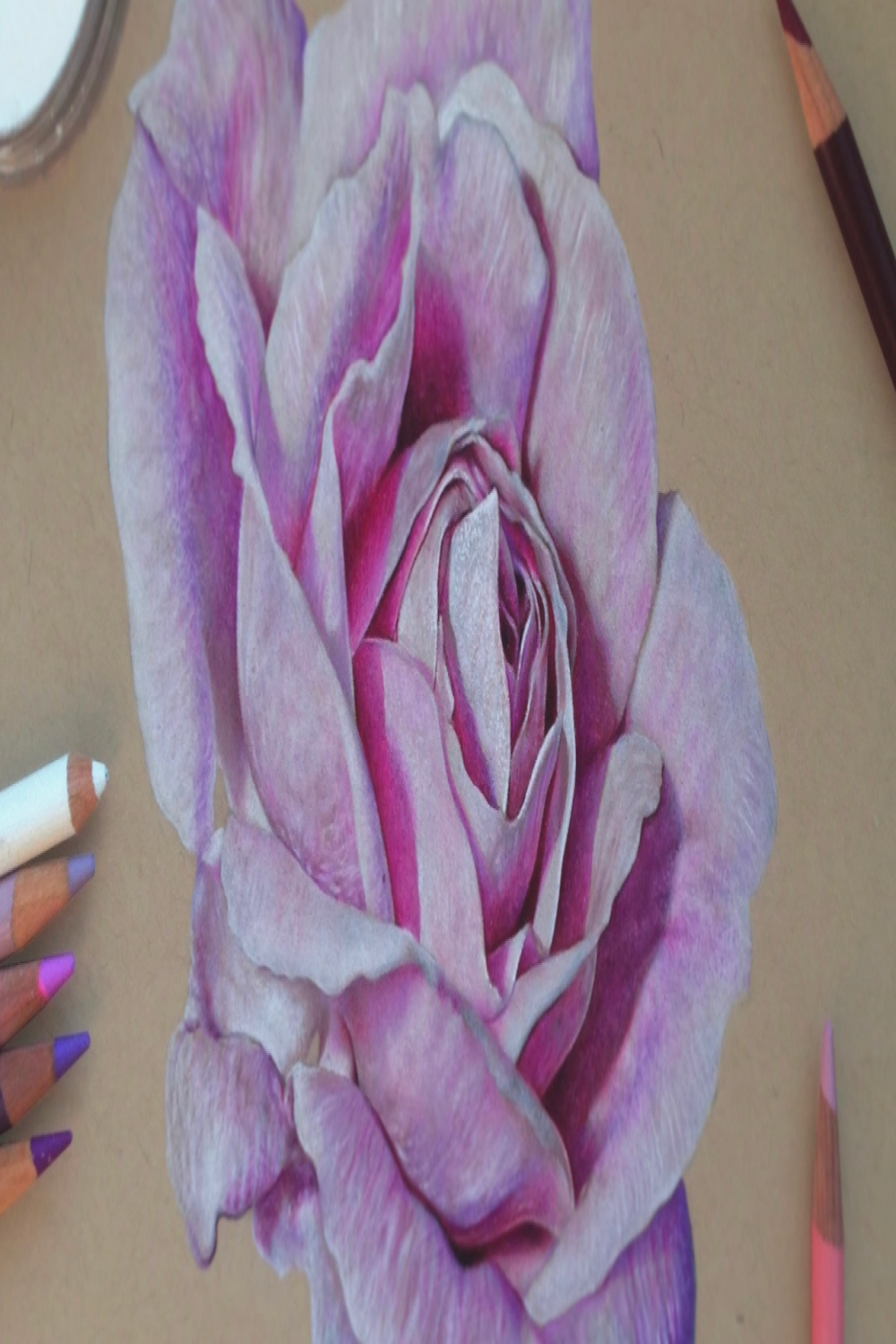 Drawing a Realistic Rose  Colored Pencils