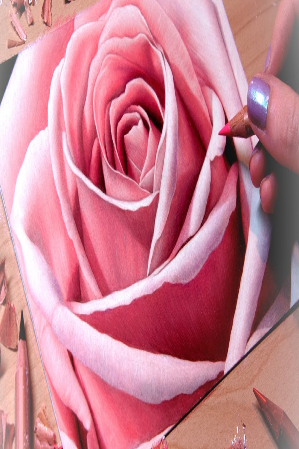 Drawing a Rose Close-Up