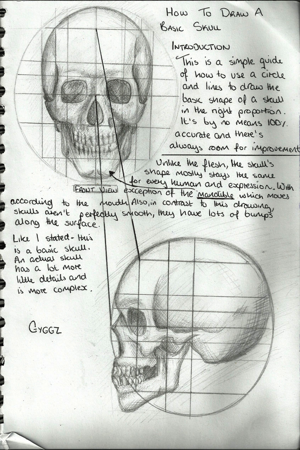 Drawing A Skull (Tutorial) by GyggzyChan on DeviantArt