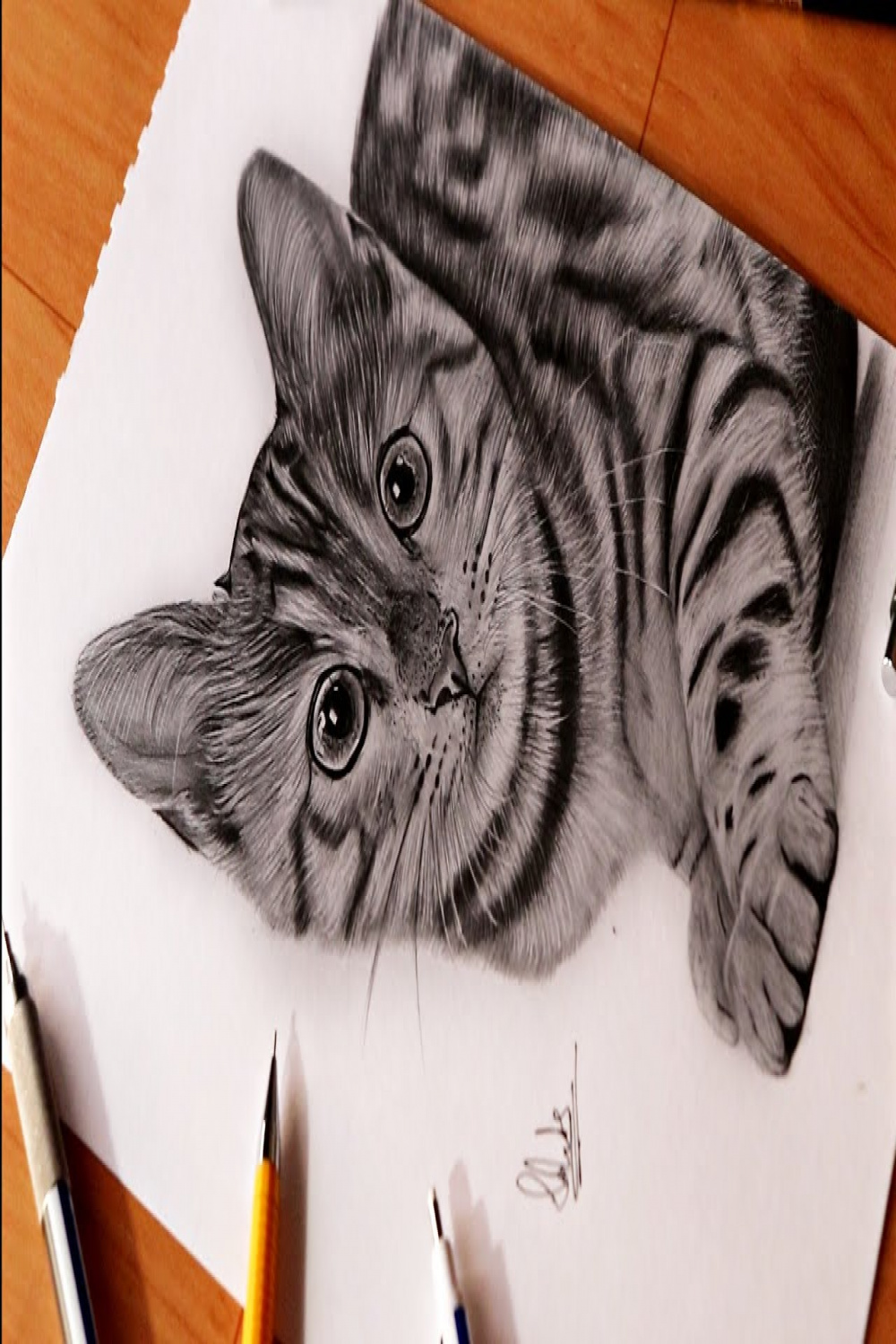 Drawing Cat with Pencils 😍