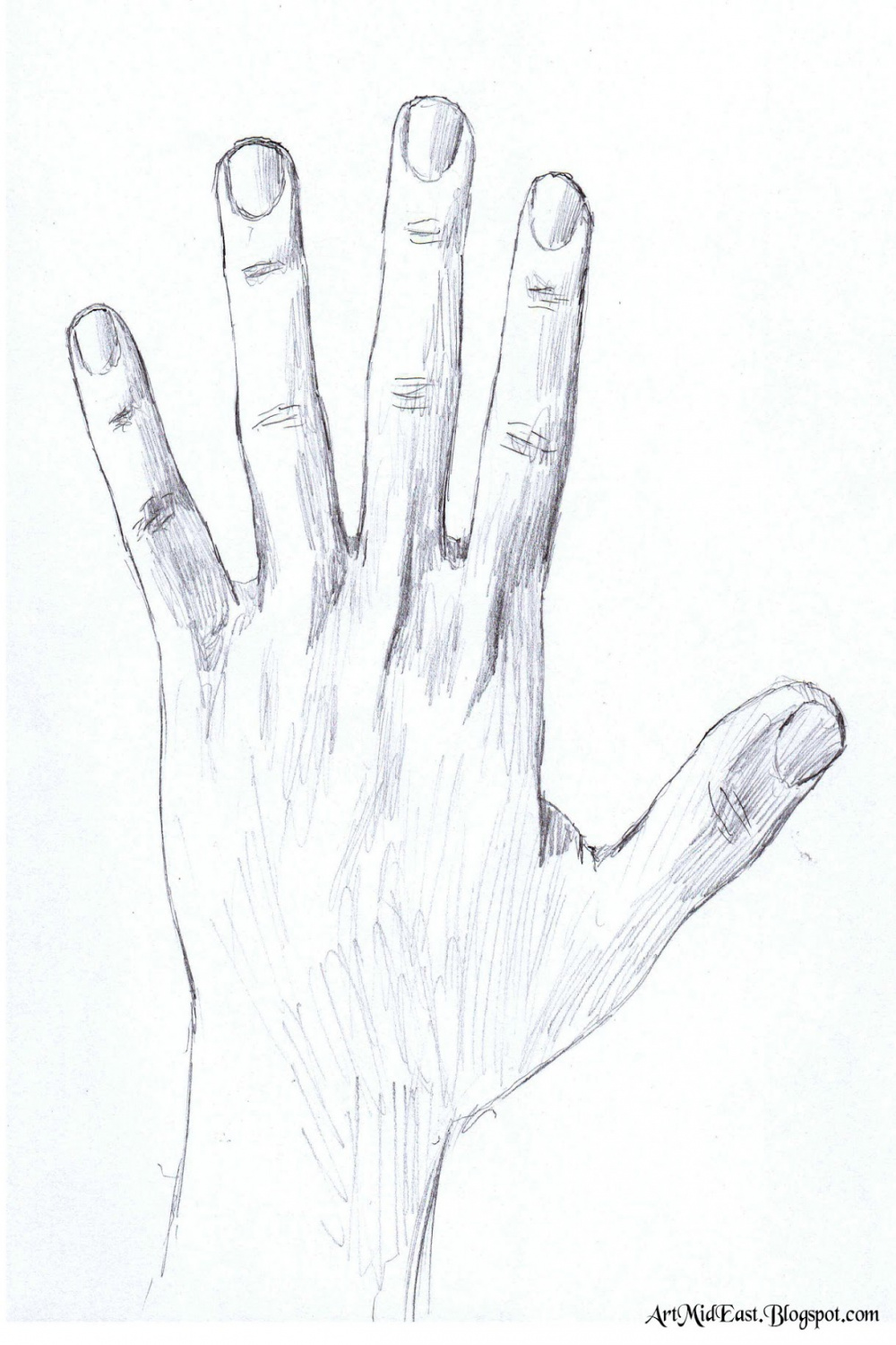 Drawing Lessons: How to draw a hand - A step by step guide