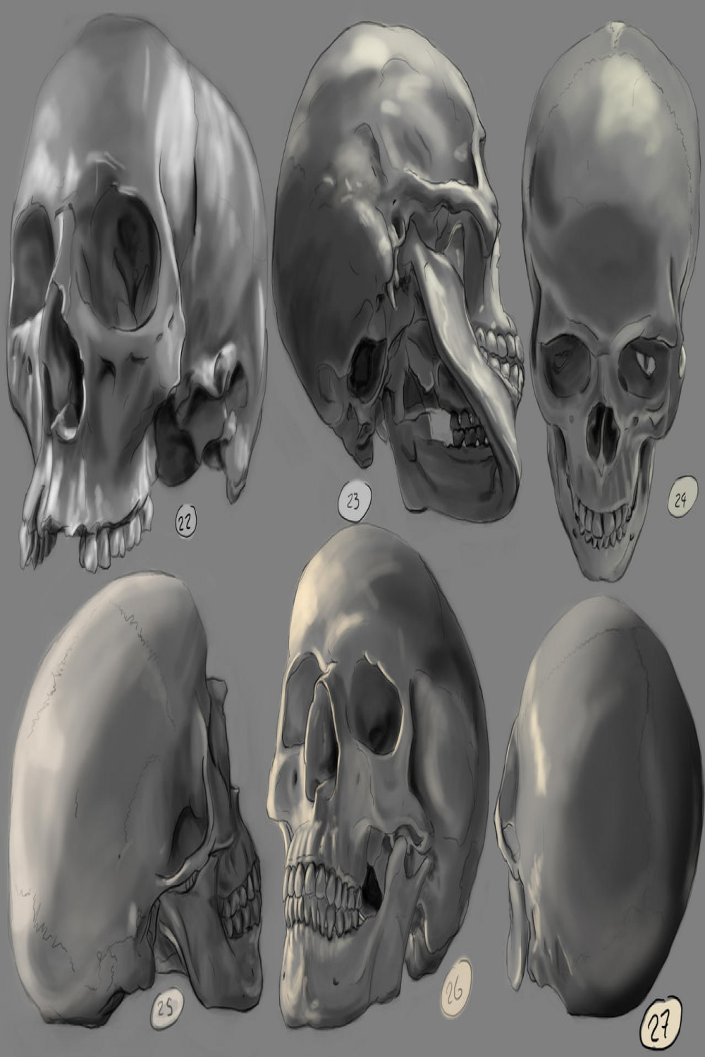 Drawing practise - Human Skulls  by IgnazioDelMar on DeviantArt