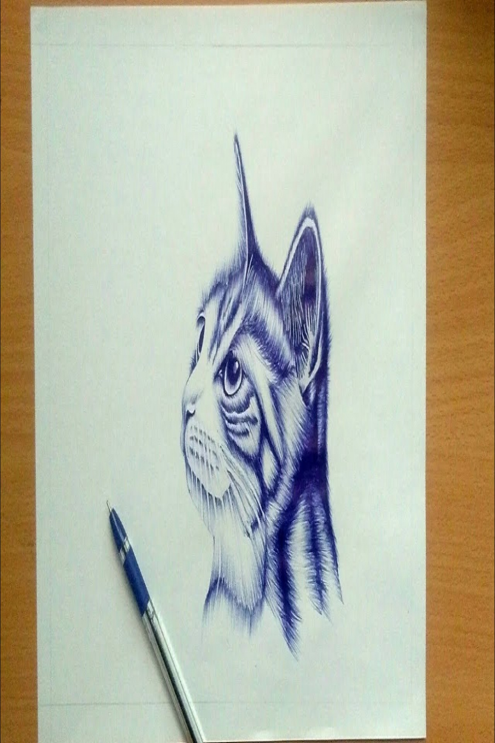 Drawing Realistic Cat with Ballpen 🐱 - Single pen challange (HAC)