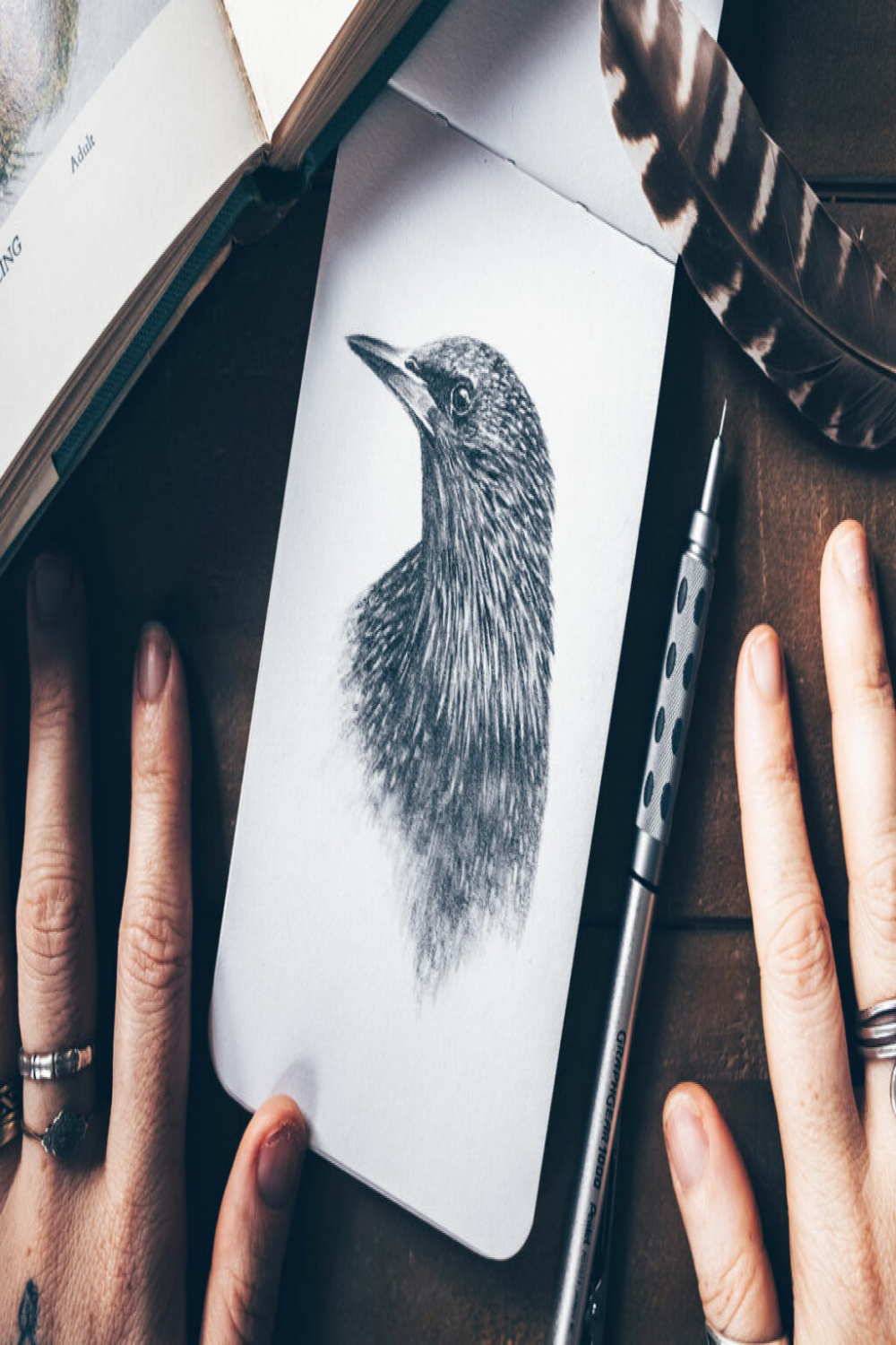 Drawing Techniques to Draw and Sketch like a Pro