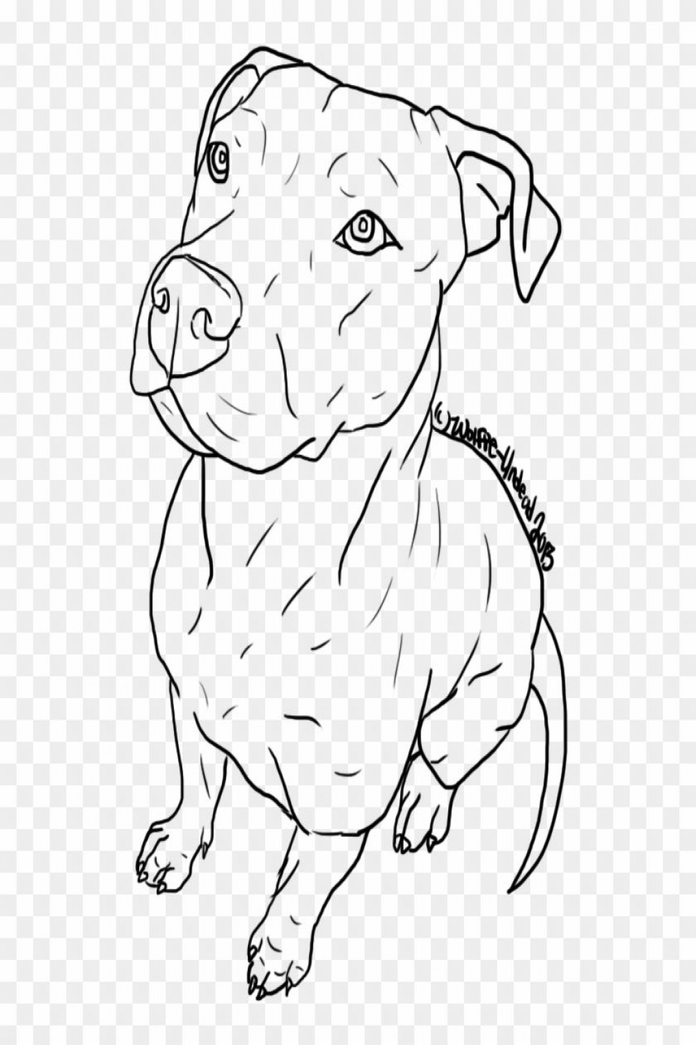 Drawn Pitbull Body - Drawings Easy To Trace Clipart is best