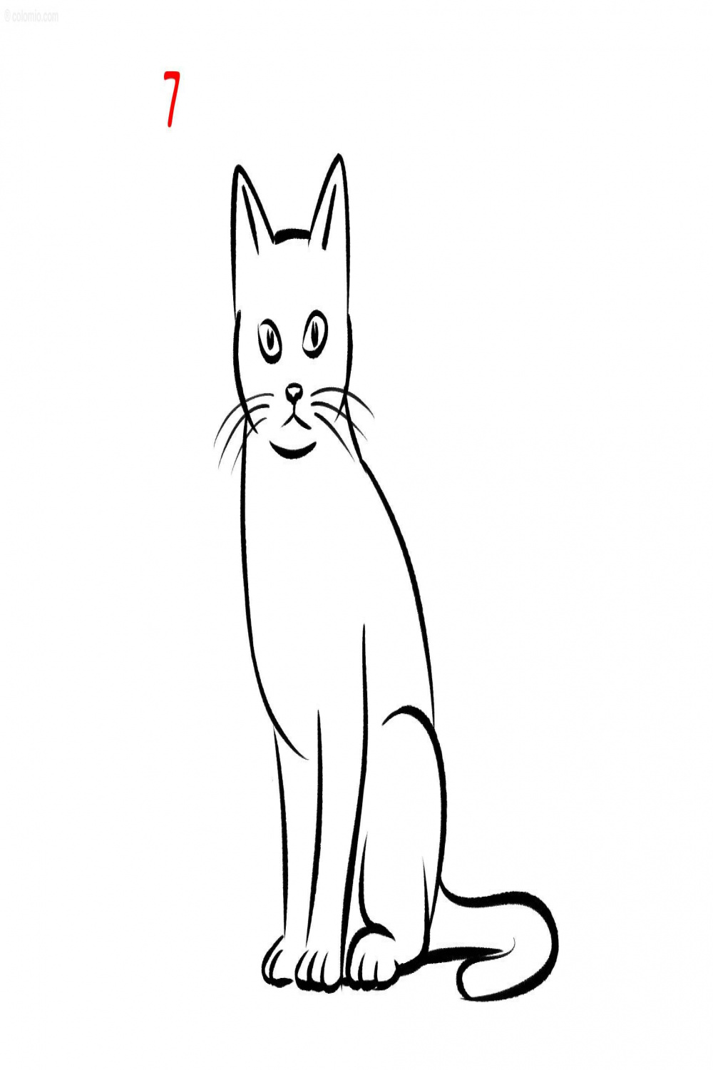 Easy Cat Drawing Ideas » How to draw a Cat Step by Step