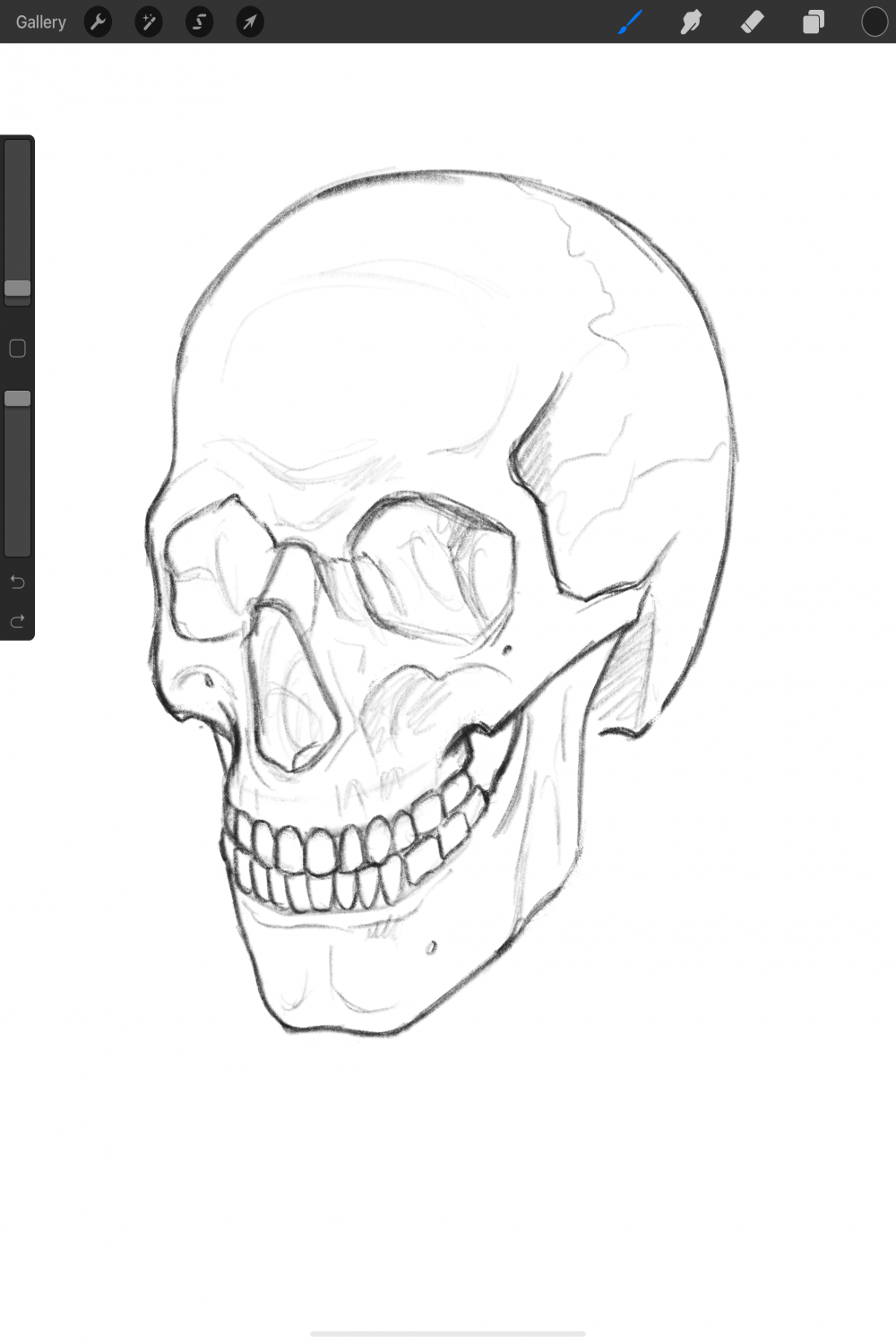 Easy Ways to Draw a Skull in Procreate  Skull drawing sketches