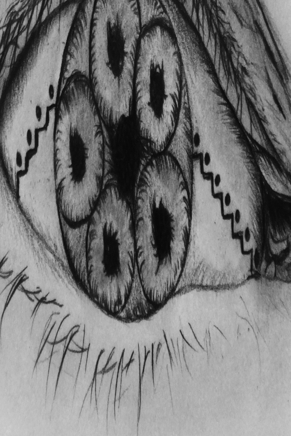 Eye Weird Drawing Filmed For How To Draw Video Finished By