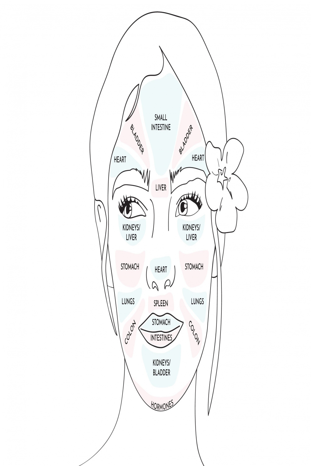 Face mapping: how face mapping can help to bring balance and